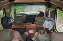 Tanzania Day Trips Ngorongoro Tarangire and Arusha Safari