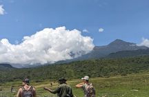 Tanzania Day Trips Ngorongoro Tarangire and Arusha Safari