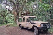 Tanzania Day Trips Ngorongoro Tarangire and Arusha Safari