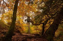Highland Gems Dunkeld The Hermitage and Blair Atholl Castle
