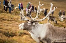 Wild Highlands Explorer Cairngorms, Funicular, Lochs and Views