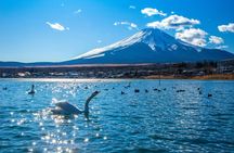 Mt. Fuji Highlight Photo Spots One Day Tour from Tokyo