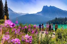 Emerald Lake Road Bus Tour
