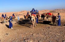 Desert Escape: Buggy Ride, Camel Trek & Dinner Show