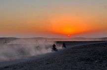 Marrakech Desert Dinner show with Quad bike and Camel Ride