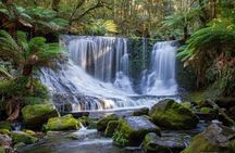 A Day Tour to Mt Field and Bonorong Wildlife Sanctuary
