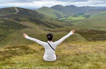 Hills, heather & Highland cows - Hiking in the Pentlands