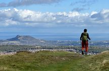 Hills, heather & Highland cows - Hiking in the Pentlands