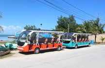 Luxury Eco Friendly TukTuk Bus Belize City Tour