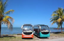Luxury Eco Friendly TukTuk Bus Belize City Tour