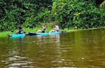 Private Kayak Tour of the Tortoise Canals
