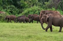 Sigiriya & Minneriya Safari, Village Lunch Private Full Day Tour