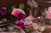 Astrology for Couples: Explore Relationship Through the Stars