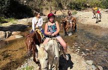 Jungle HorseBack Adventure to Las Palmas Waterfall All Included 