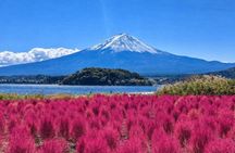 From Tokyo : Mount Fuji Customizable tour in private car