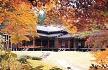 From Tokyo Private Nikko Shrines and Nature Day Tour