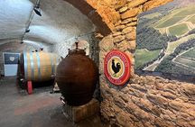 Florence to Chianti E Bike Tour with Vineyard Picnic