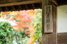 Uji Matcha Tasting & Tea Ceremony with Former Geiko + Uji Walk