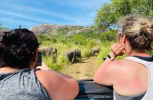 Private Polonnaruwa Ruins & safari Tour from Sigiriya/Dambulla