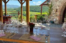 Florence to Chianti E Bike Tour with Vineyard Picnic