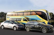 Nubian Village - Animalia 