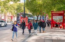 Shanghai Flavors and Culture Tour