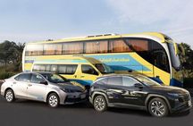 Classic Cairo - Pyramids and Egyptian Museum from Alexandria Port