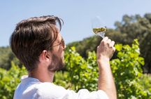 Cotes de Provence Wine Tour from Aix-en-Provence