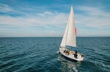 Sailing tour with dolphins Golfo Aranci Tavolara Molara