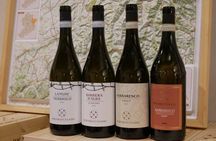 Discover Langhe wines with private tour and expert sommelier