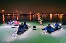 90 Minute LED Illuminated Clear Kayak Night Adventure Tour