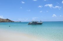 6 Hour Private Charter with Open Bar Lunch and Snorkeling