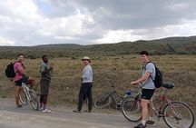 Hells Gate National Park Lake Naivasha and Cresent Island Tour