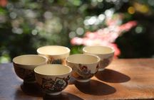 Tea Ceremony Experience In Mishima, the Gateway to Mt. Fuji