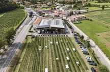 Brescia: Franciacorta Wine Tasting in a Historical Winery