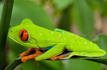 Private Wildlife Walk, Coffee Experience and Traditional Lunch