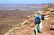 Canyonlands National Park Morning or Afternoon Van Tours