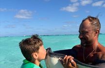 Private Half Day Stingray City, Snorkeling & Starfish Point