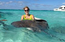 Full Day Experience Stingray, Snorkeling, Starfish & Kaibo Beach