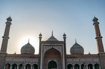 Old and New Delhi Private Full Day Group Tour: Best of Delhi 2026