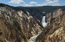 Yellowstone Upper Loop Tour with Lunch