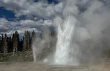 Old Faithful Yellowstone Half Day Express Tour
