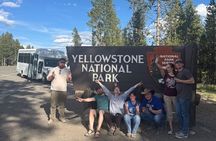 Old Faithful Yellowstone Half Day Express Tour