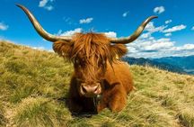 Inverness City Tour Beauly Urquhart Castle and Highland Culture
