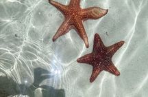 Aquaholic Charters Private, Luxury, local Adventures Grand Cayman