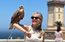 Luxury Private Full Day Tour In Tangier with Camel ride