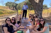  Wine Tours ( private ) 6 full hours .