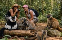 3 Days Andasibe Mantadia Private Tour