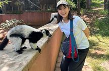 3 Days Andasibe Mantadia Private Tour