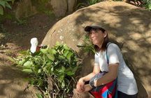 3 Days Andasibe Mantadia Private Tour